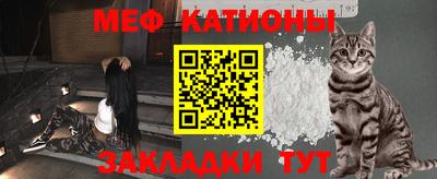 шишки Новодвинск
