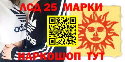 шишки Новодвинск