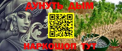 таблы Новозыбков