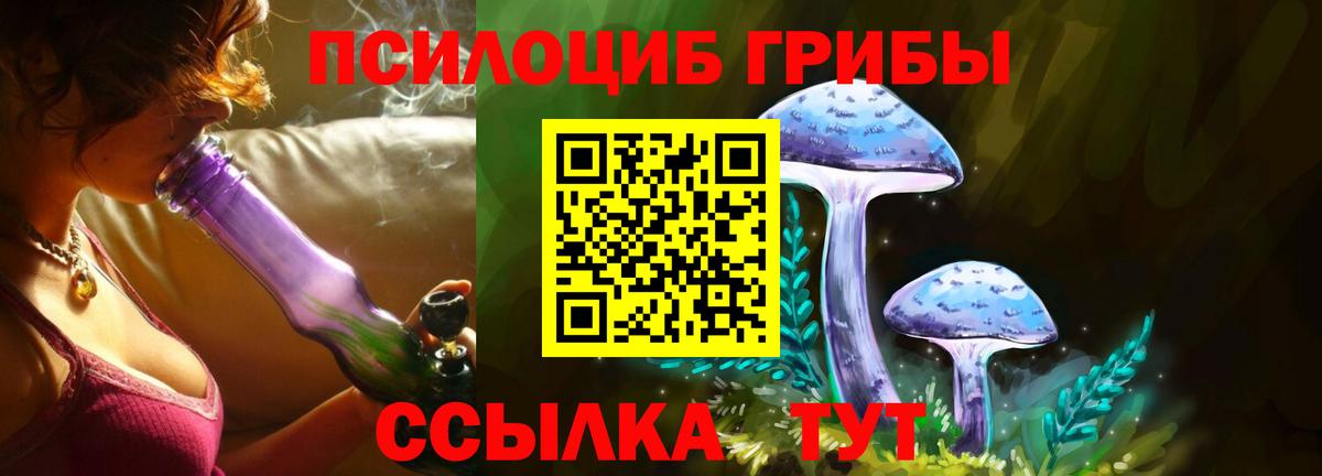 Сафоново  где найти   Вход с VPN  Галлюциногенные грибы ЛСД 